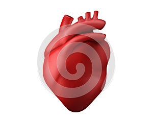 3d anatomy human heart organ medical icon vector