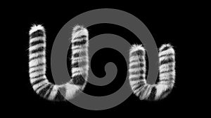 3D animation of a uppercase and lowercase Zebra woolen letter U