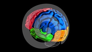 3d animation of the various colored parts of the brain