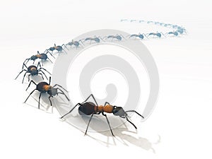 3d ants line queue white isolated