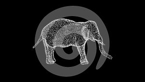 3D Baby elephant on black background. Wild Animals concept. Circus and Zoo. Business advertising backdrop. For title