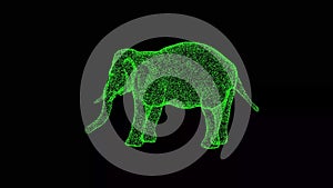 3D Baby elephant on black background. Wild Animals concept. Circus and Zoo. Business advertising backdrop. For title