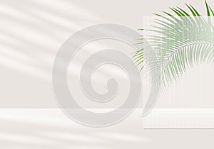 3d background products display podium scene with palm leaf geometric platform. beige background vector 3d render