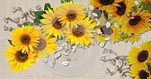 3d background texture, sunflower on fabric canvas texture.