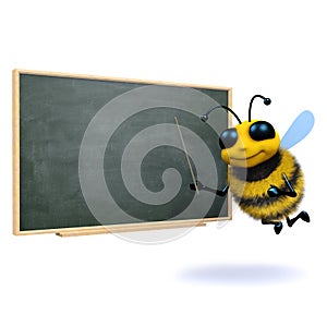 3d Bee teacher