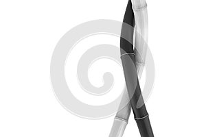 3d Black Bamboo illustration on white background - duality metaphor