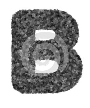 3D â€œBlack wool wolf fur letter Bâ€ creative decorative with brush animal hair, Character B isolated in white background.