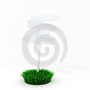3d blank board on a patch of green fresh grass