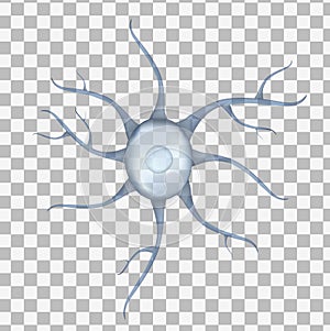 3d Blue human neuron isolated on transparent background. Realistic vector illustration. Template