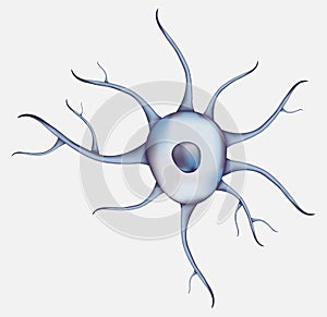 3d Blue human neuron isolated on white background. Realistic illustration. Template