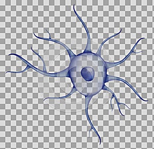 3d Blue human neuron on transparent background. Realistic illustration. Template