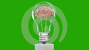 3d brain rotating inside a lightbulb, great mind concept, loop, Green Screen Chromakey