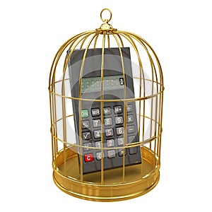 3d Calculator inside golden cage