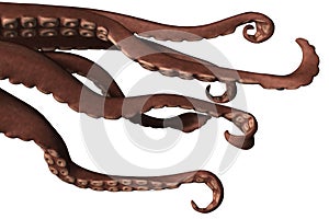 3D Comic Calamari Arms