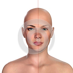 3d comparative portrait of women with and without makeup