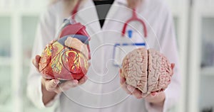 3D comparison of the human heart and brain in hands of a doctor