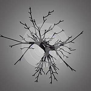 3D computer generated neuron cell with glossy dark reflective surface