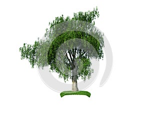 3d crying iva tree