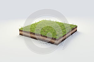 3D cubical beautiful grass land with soil geology cross section, 3D Illustration ground ecology isolated on whit background