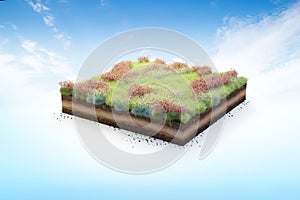 3D cubical garden grass land with red flowers, soil geology cross section, 3D Illustration ground ecology isolated on blue sky