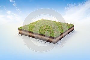 3D cubical garden grass land with yellow flowers, soil geology cross section, 3D Illustration ground ecology isolated on blue sky