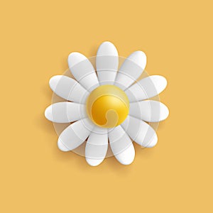 3D Daisy or chamomile flower icon, white delicate flower in bloom render cartoon style