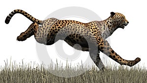 3D digital render of a jumping cheetah