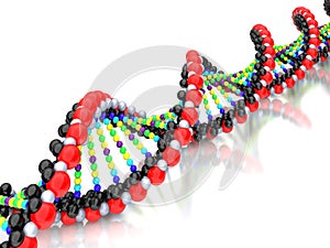3d dna