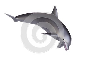 3D Dolphin