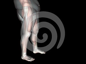 3D fat overweight vs slim fit diet with muscles young man isolated on black background
