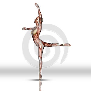 3D female figure with muscle map texture in ballet pose