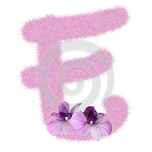 3D Fur Animal Hair Pink color Creative Decoration Character E decorate with purple orchid flower, isolated in white background.