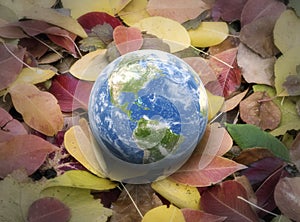 3d Globe on leaves