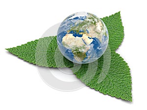 3d Globe on leaves