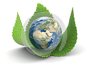 3d Globe on leaves