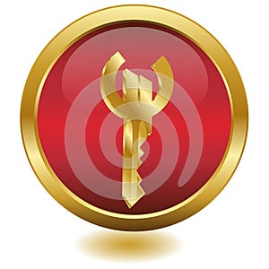 3d Golden Key Euro.button.Vector