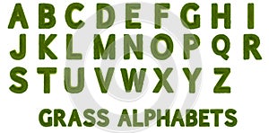 3D Grass Alphabets