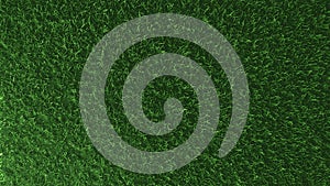 3D green grass field for your background