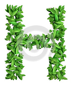 3D green grass font design