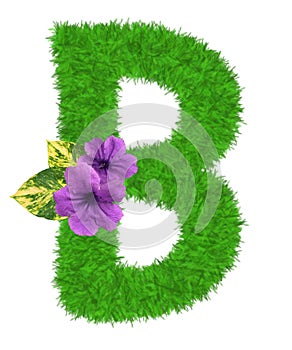 3D â€œGreen grass leaves and purple flowersâ€ creative decorative natural Letter B, Character B isolated in white background.