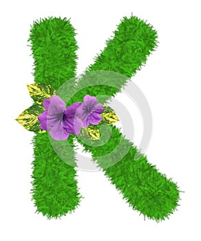 3D â€œGreen grass leaves and purple flowersâ€ creative decorative natural Letter K, Character K isolated in white background.