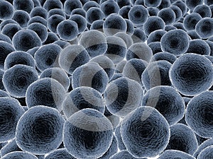 3d grey blue biological cells