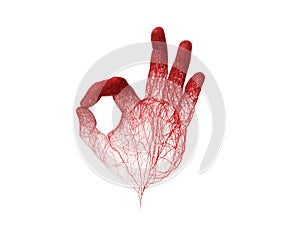 3d hand red blood veins, aorta and capillary knit tangled with hand symbol form ok on white background. Used in medical anatomy.