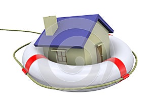 3d home on lifesaver