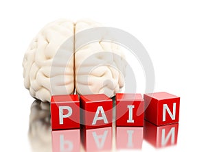 3d Human brain with pain word in cubes