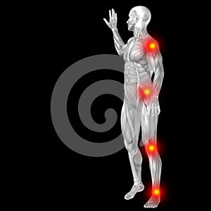 3D human or man with muscles for anatomy or health designs with articular or bones pain. A white male isolated on black background