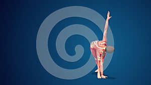 3D human Parivrtta Trikonasana or Revolved Triangle yoga pose on blue background