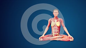 3D human Siddhasana or Adept’s yoga Pose on blue background (normal hand)