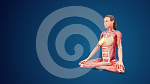 3D human Siddhasana or Adept’s yoga Pose on blue background (normal hand)