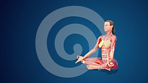 3D human Sukhasana or Easy yoga Pose on blue background